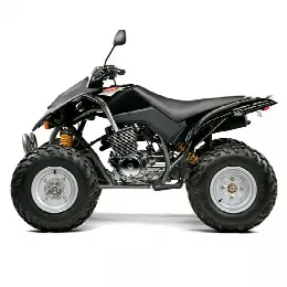 Derbi QUAD DXR 250 2004