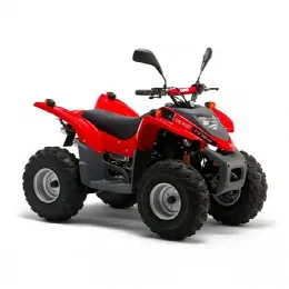 Derbi QUAD DFW 50 2004