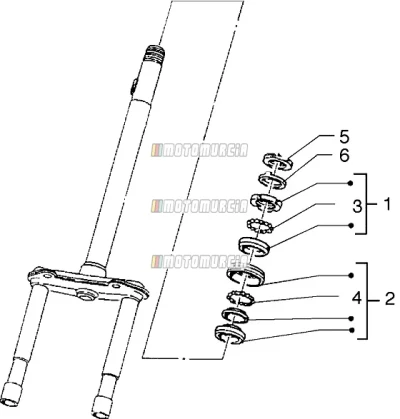 Steering Stem /  Bearings