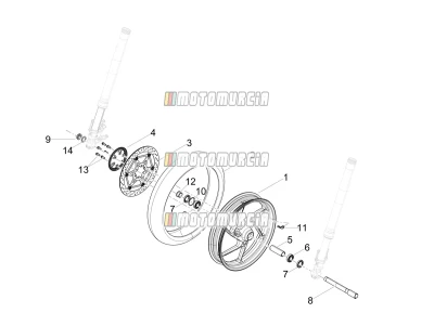 Ruota anteriore