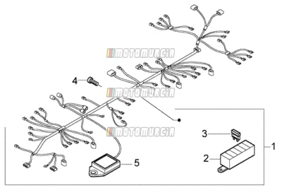 Arnés de cable principal