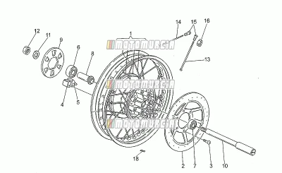 Roue arrière