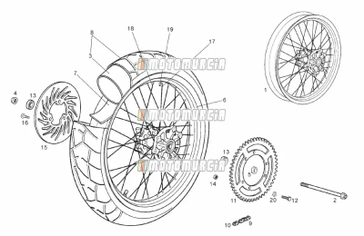 Roue arrière