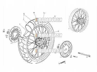 Roue arrière