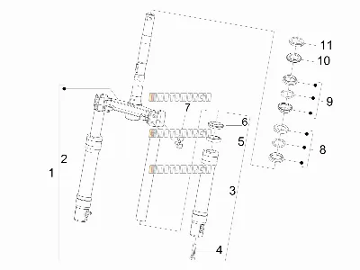 Forcella anteriore