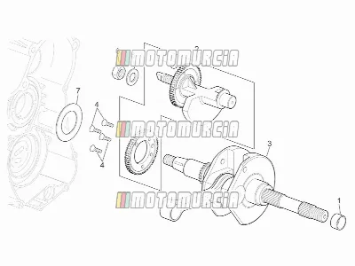 Moteur » arbre de transmission