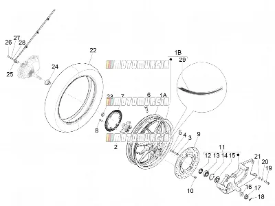 Roue arrière