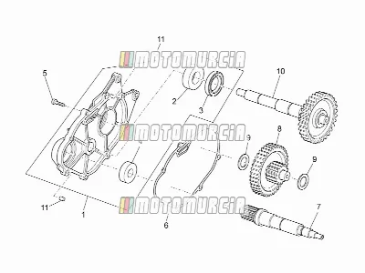 Motor » transmissie