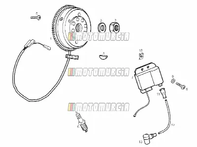 Cdi Magneto Assy