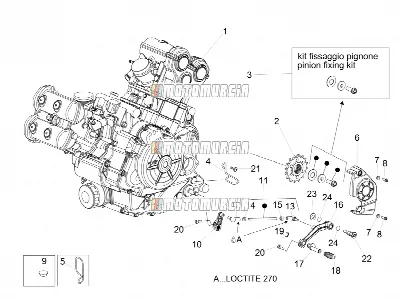 Motor