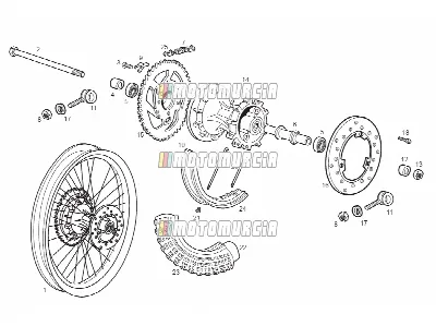 Ruota posteriore