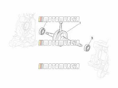 Moteur » arbre de transmission