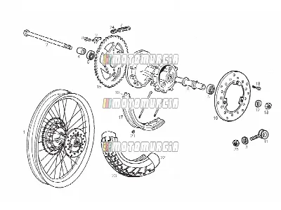 Ruota posteriore