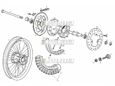 Roue arrière