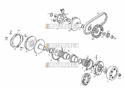 Variator