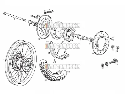 Roue arrière