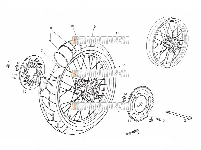 Roue arrière