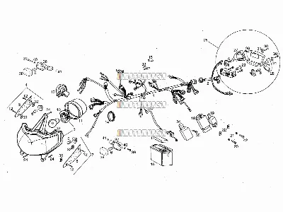Electrical System
