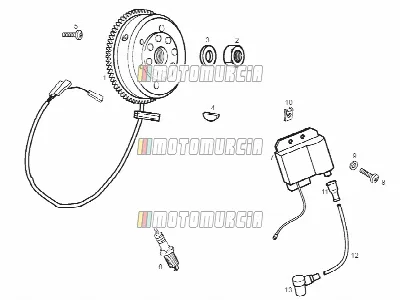 Cdi Magneto Assy