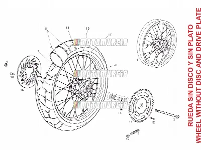 Roue arrière