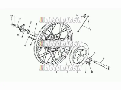 Roue avant, rayons