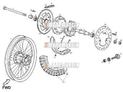 Roue arrière