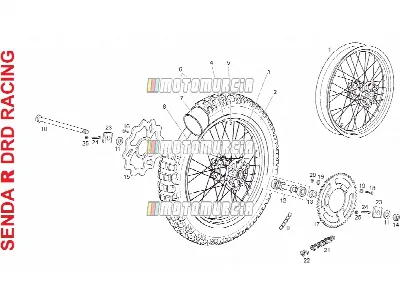 Roue arrière