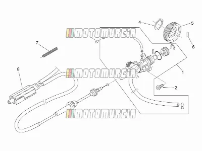 Engine » Oil Pump