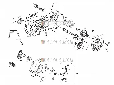 Water Pump