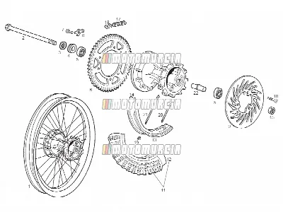 Roue arrière
