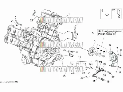 Motor