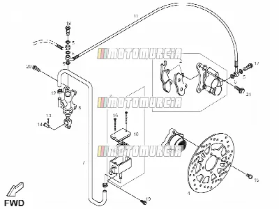 Rear Brake