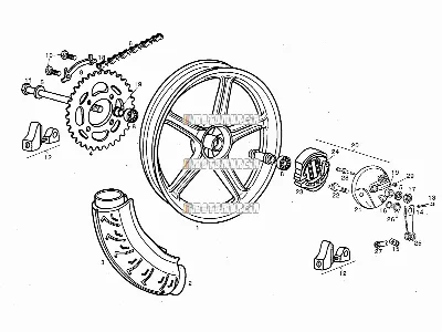 Roue arrière