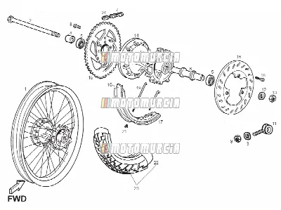 Roue arrière