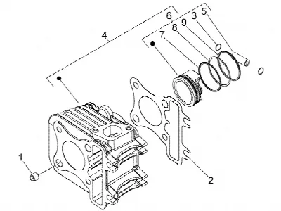 Cilinder-zuiger-polspen, assy