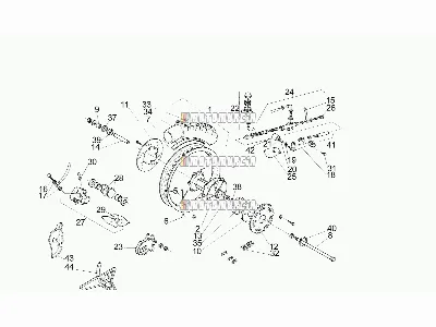 Roue arrière