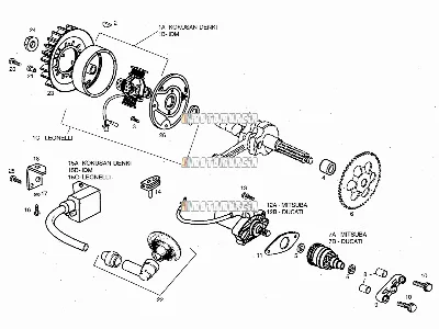 Cdi Magneto Assy