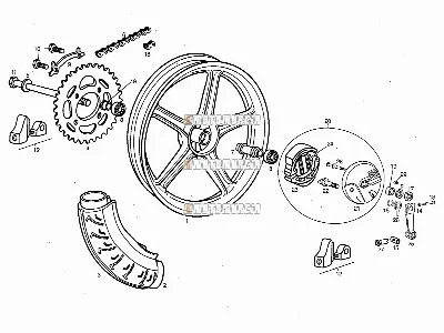 Roue arrière