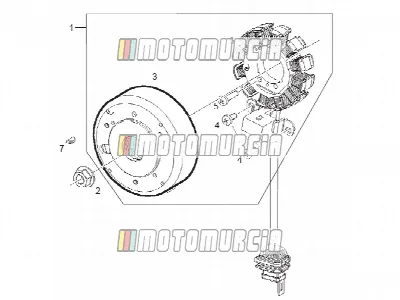 Conjunto magneto cdi