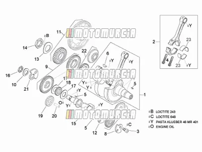 Drive Shaft