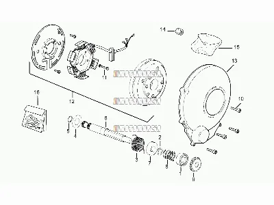 CDI-Magnetzünder-Baugruppe