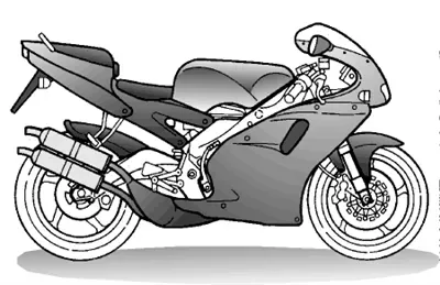 RS 250 2T