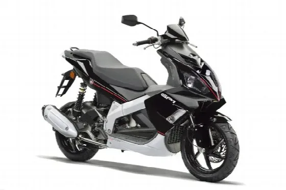 Derbi GP1 250 2008